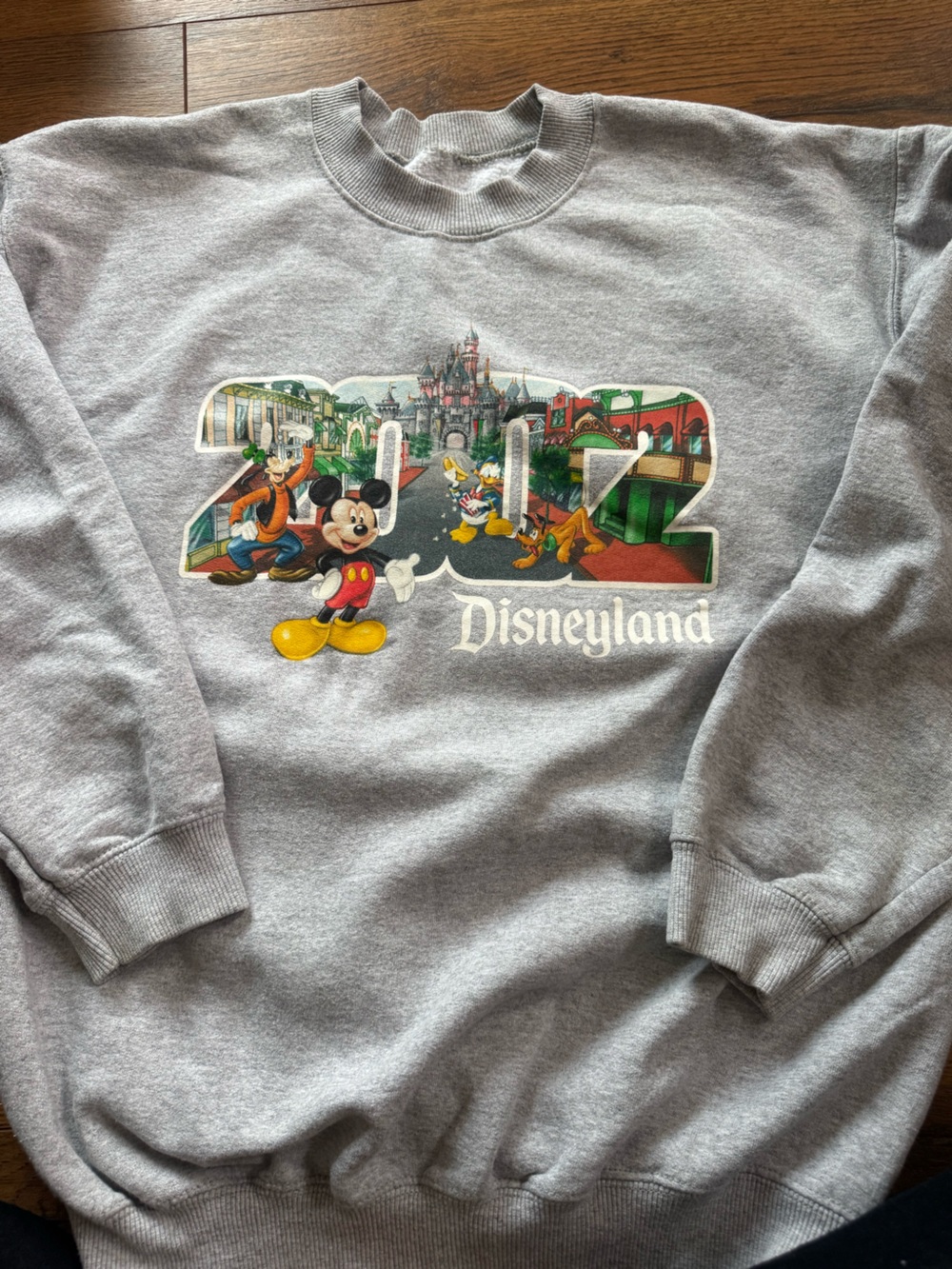 Vintage Disneyland 2002 Pullover Sweatshirt with Mickey & Friends